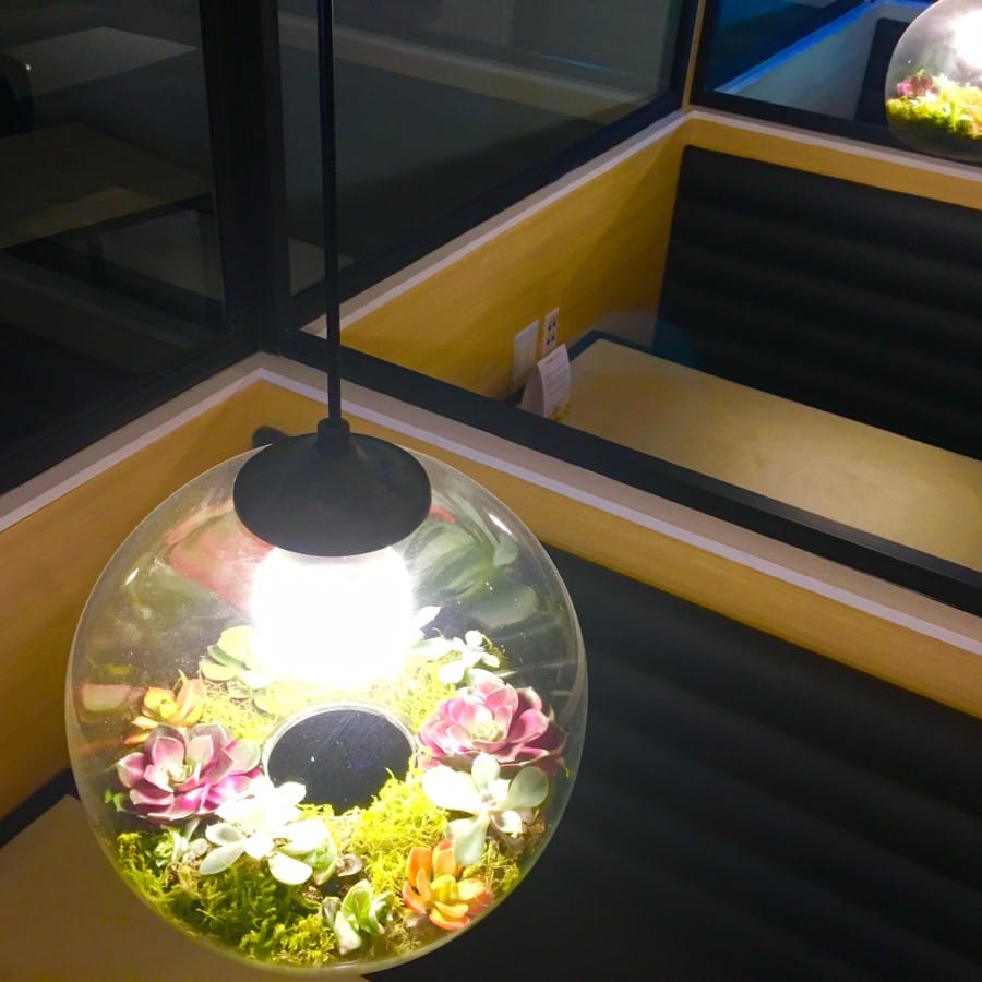 Gorgeous Booth Planter Lights in Our Furnished Monthly Coworking Space - The Collection