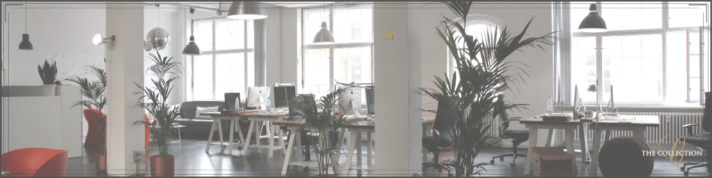 What are the Advantages of Renting an Office Space? - Collection